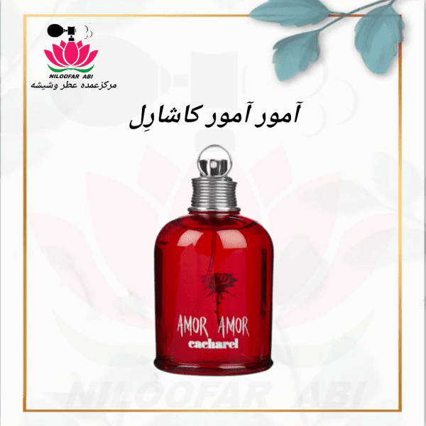 عطر آمور آمور