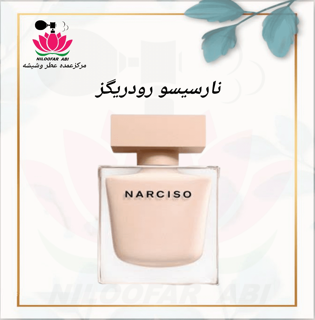 نارسیس