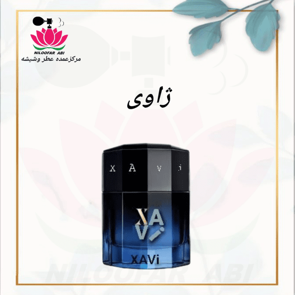 ژاوی
