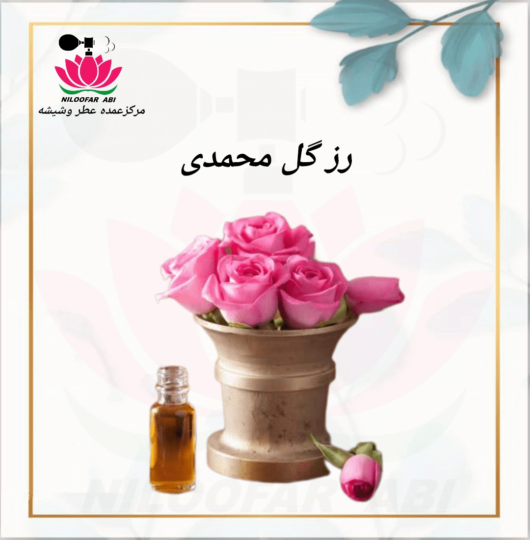 رز گل محمدی