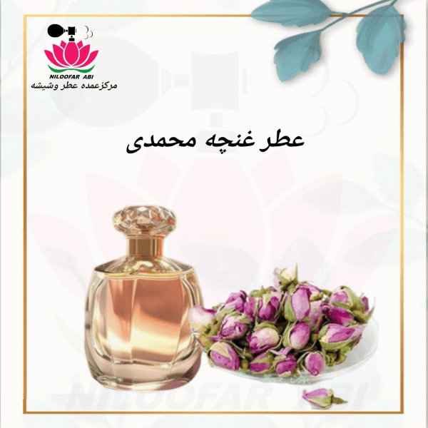 غنچه محمدی