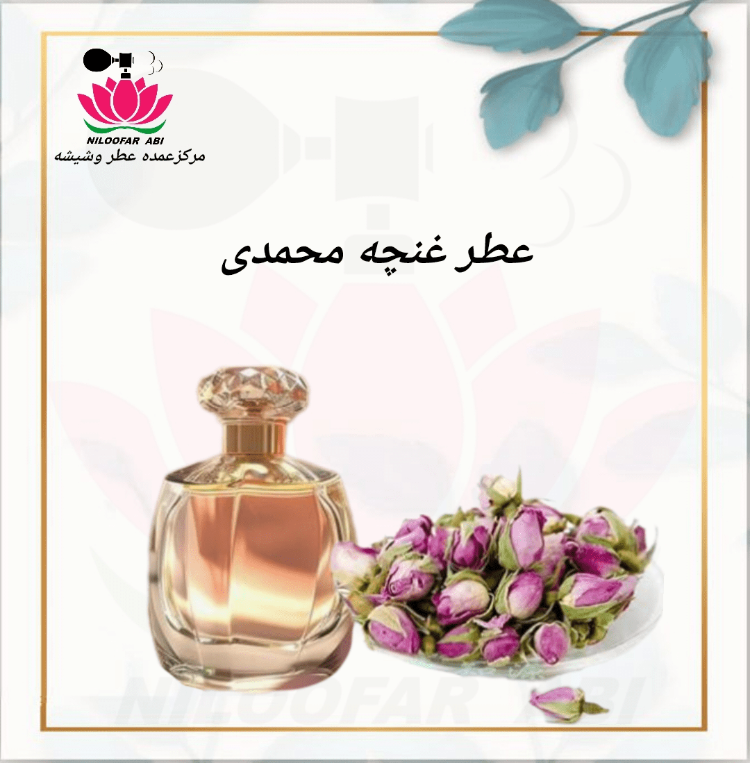 غنچه محمدی