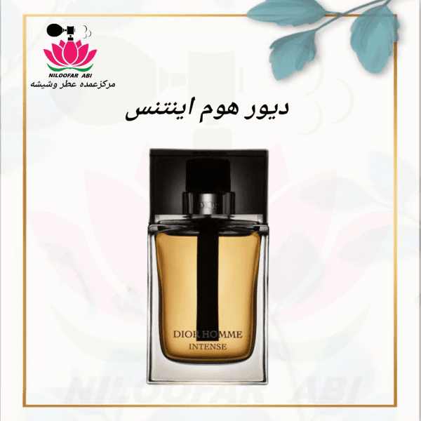 اینتنس