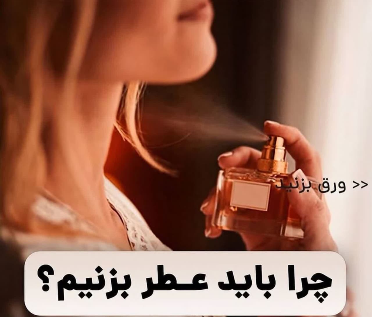 نیلوفر آبی بلاگ