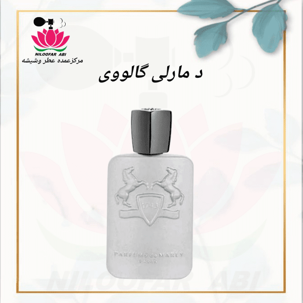 مارلی گالووی