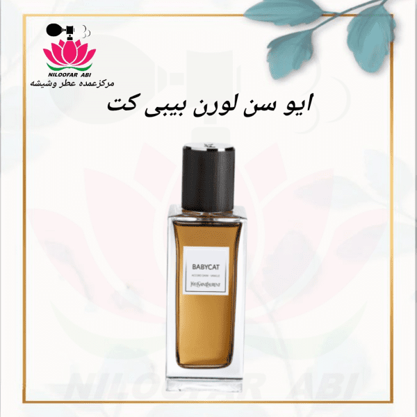 عطر ایو سن لورن بیبی کت