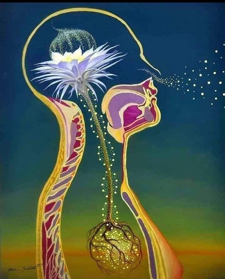 حقایق جالب در مورد بوها - فروشگاه عطر نیلوفر آبی