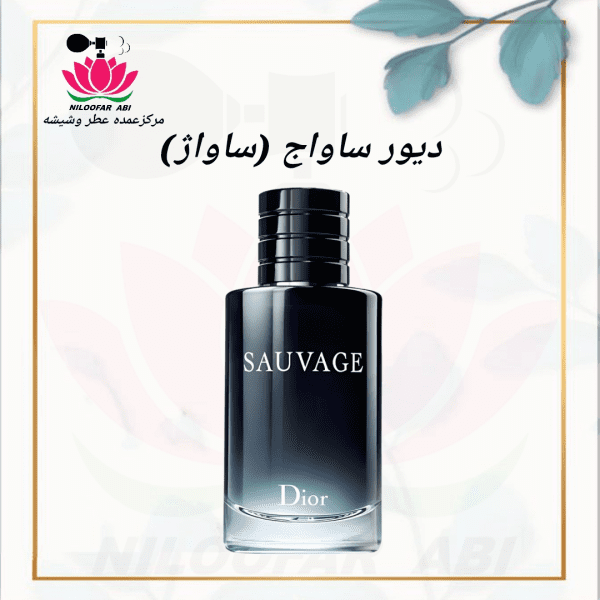 دیور ساواج (ساواژ)