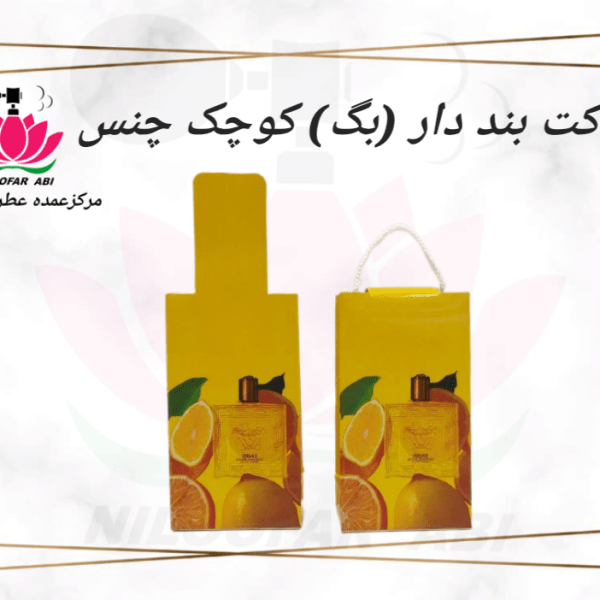 پاکت بنددار (بگ) کوچک چنس